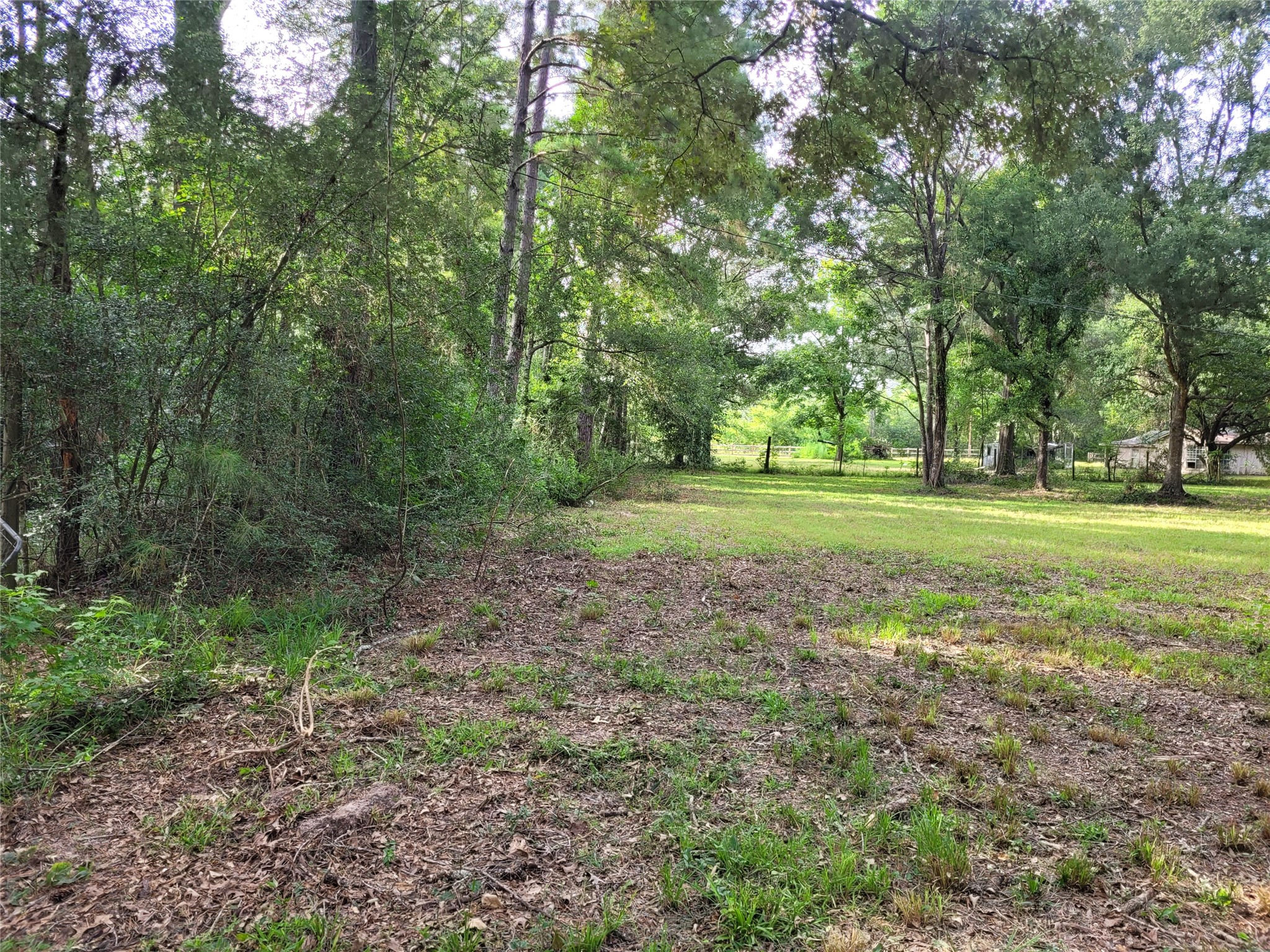 17038 Payne Road Conroe, TX 77302 - Photo 23 of 24 a view of a field with trees in the background