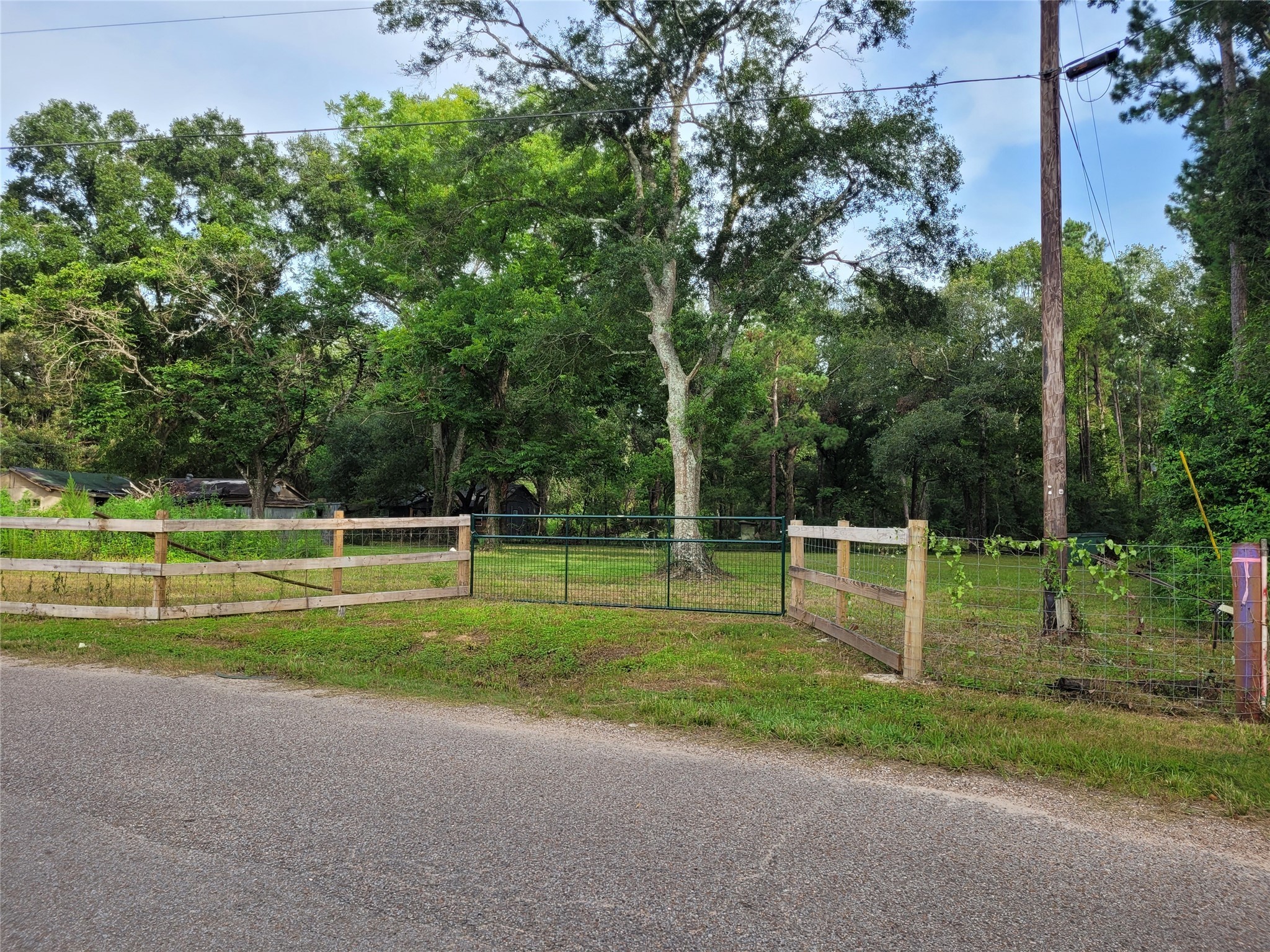 0 Payne Road Conroe, TX 77302 - Photo 5 of 20 a view of a park with large trees