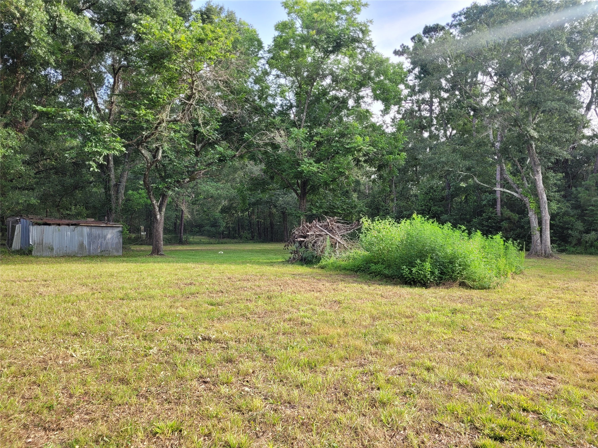 0 Payne Road Conroe, TX 77302 - Photo 8 of 20 a view of a backyard