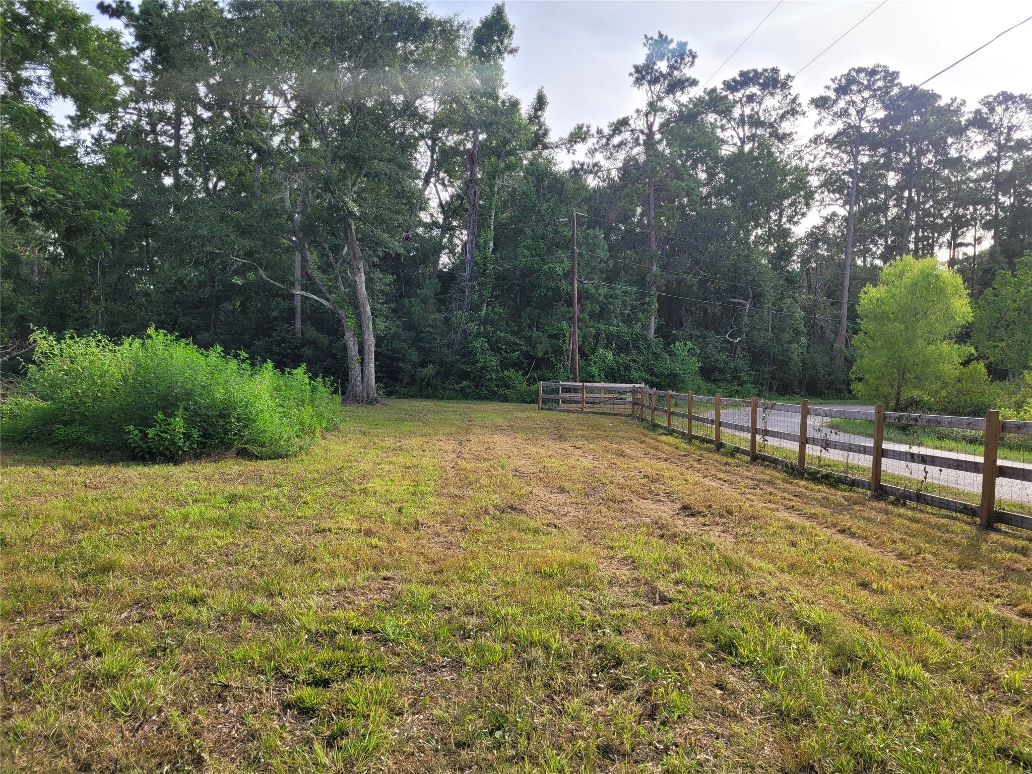 0 Payne Road Conroe, TX 77302 - Photo 9 of 20 a view of a backyard