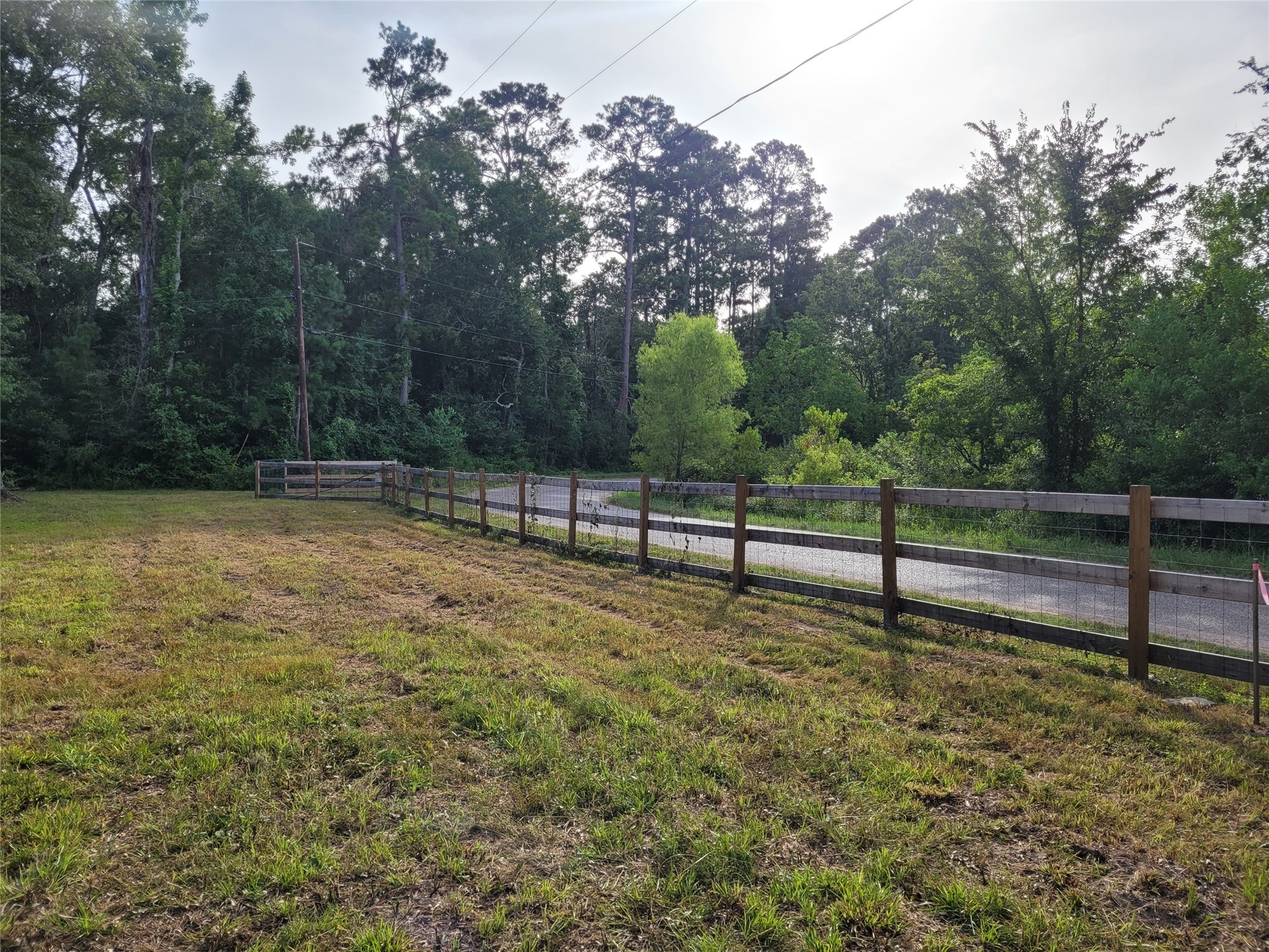 0 Payne Road Conroe, TX 77302 - Photo 10 of 20 a view of a yard with wooden fence