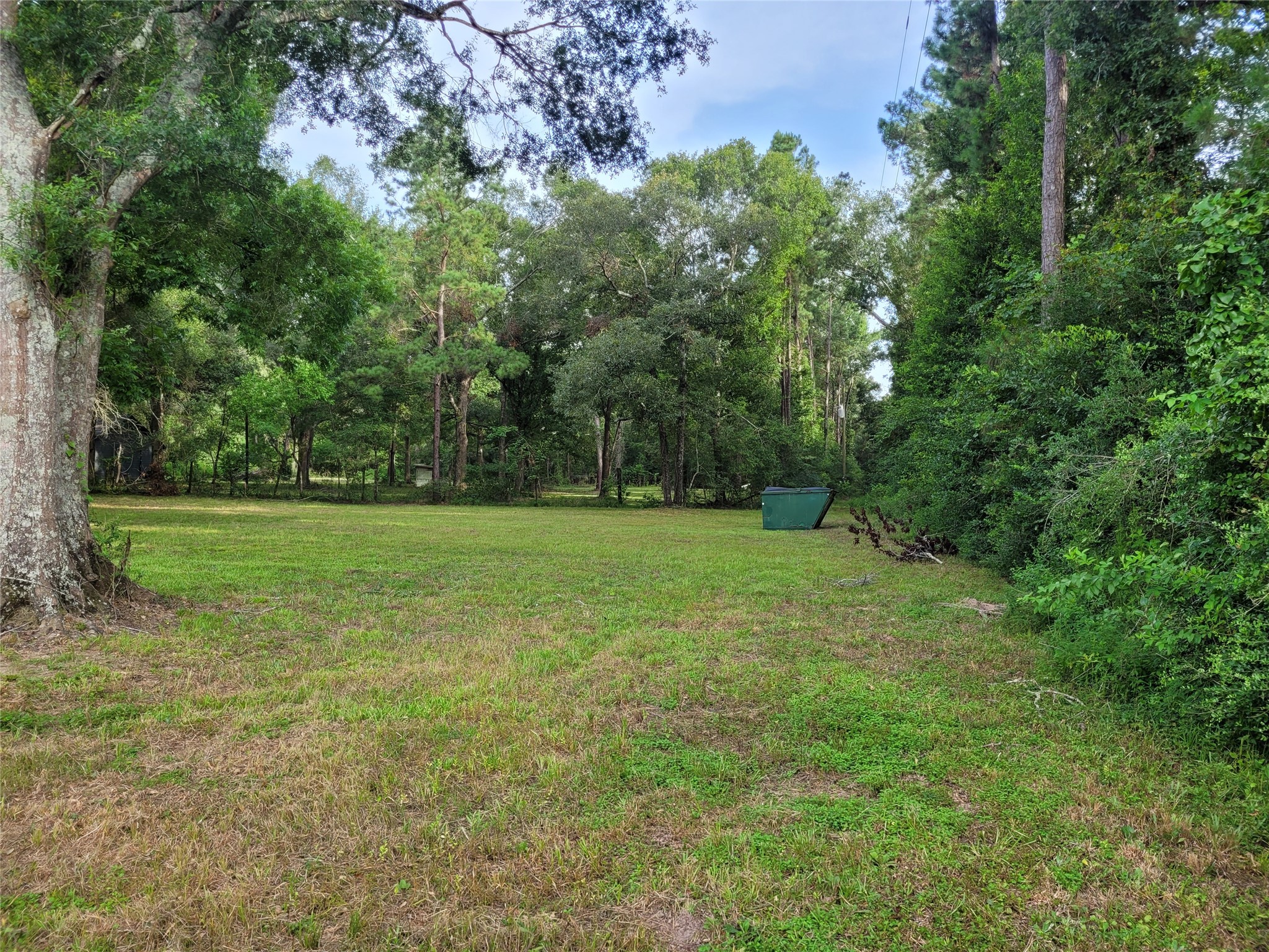 17038 Payne Road Conroe, TX 77302 - Photo 10 of 24 a view of a field with trees in the background