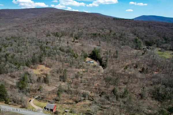 a view of a dry yard with green space