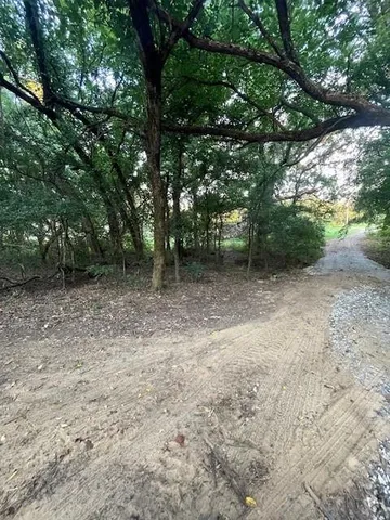 a view of a forest with trees in the background