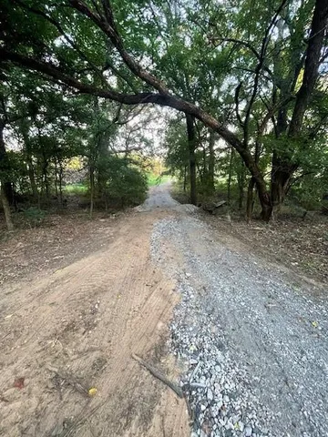 a view of a forest with trees in the background