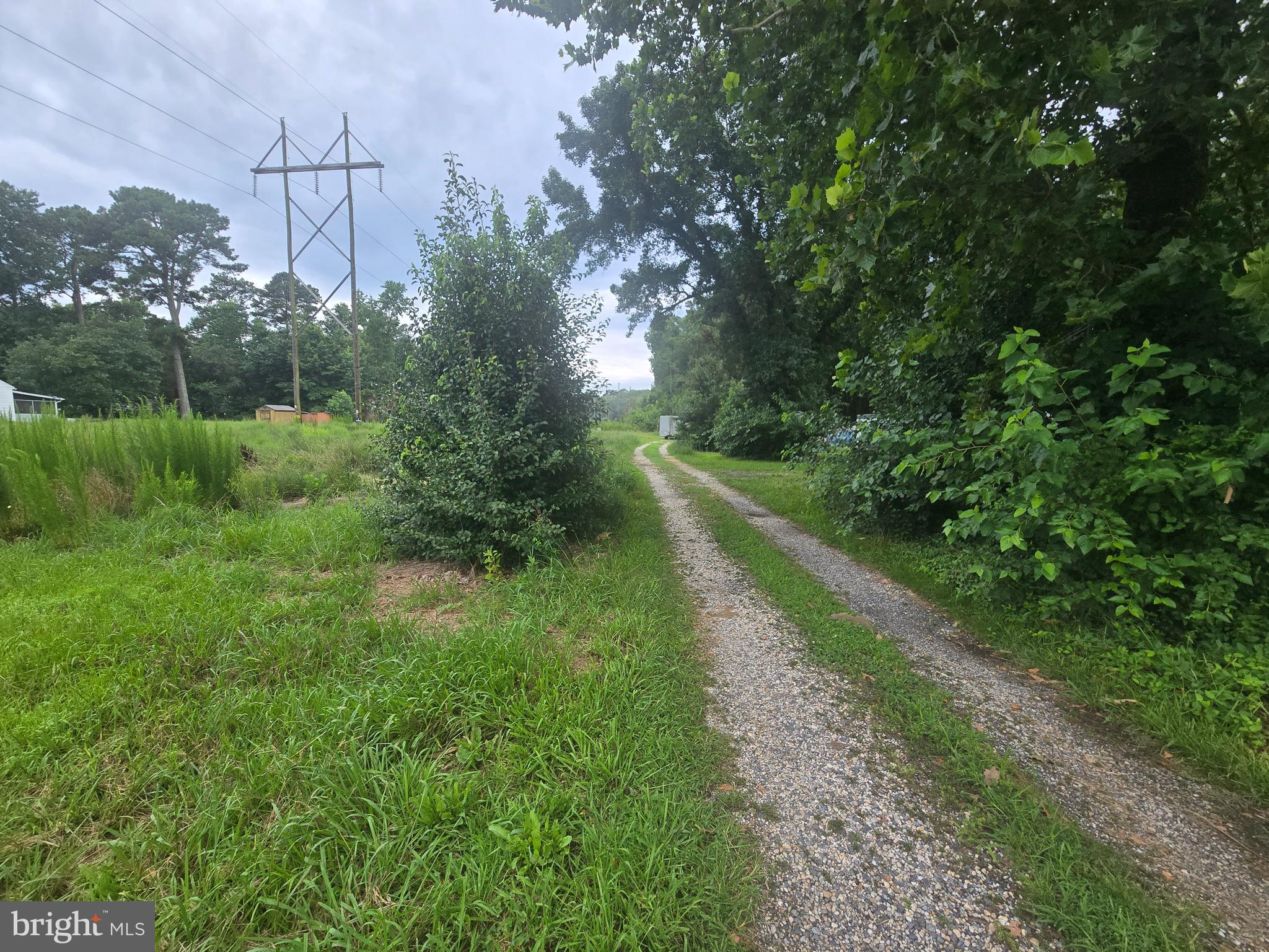 36676 Bi State Boulevard Delmar, DE 19940 - Photo 7 of 32 a view of a yard with a tree