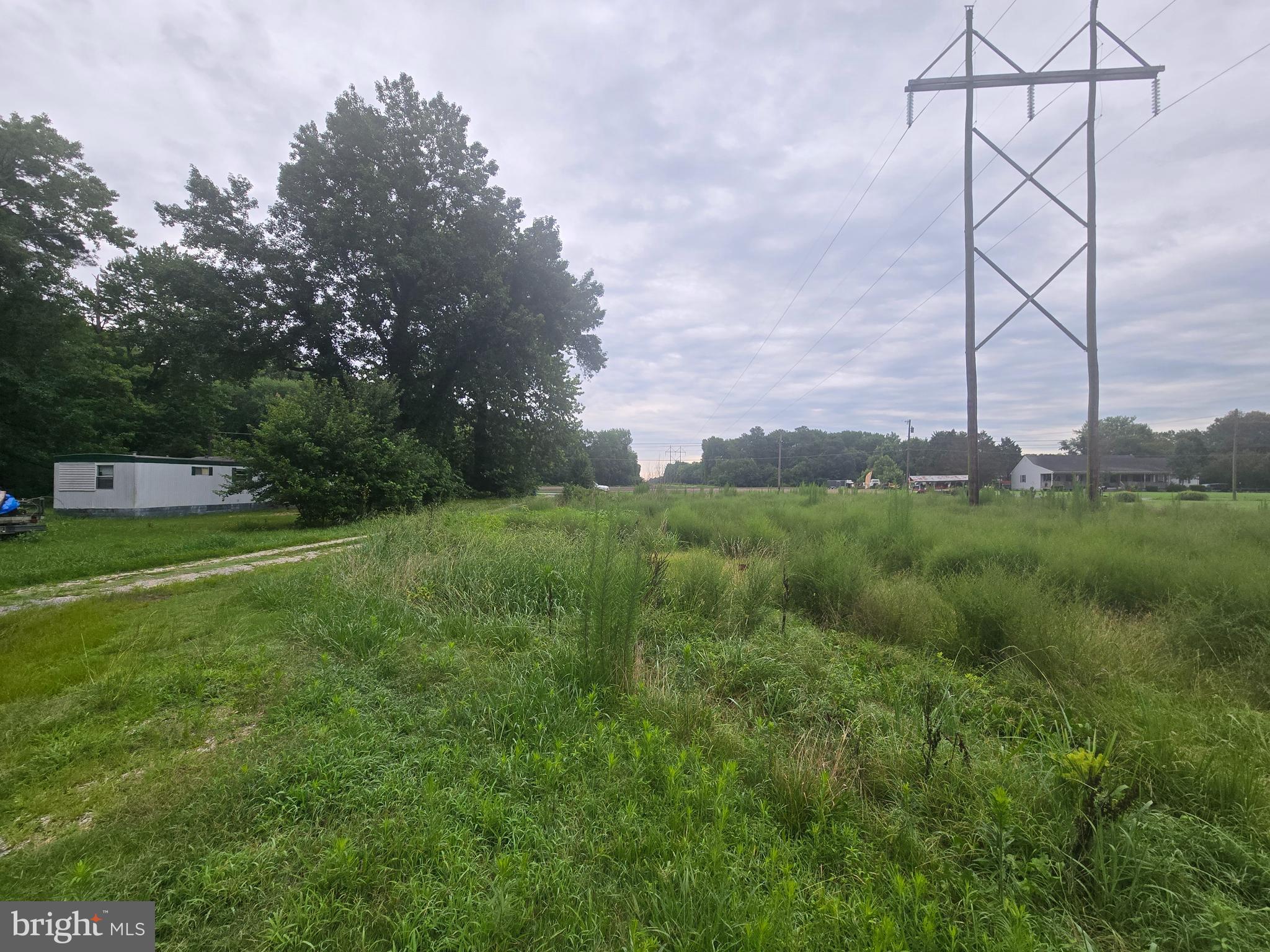 36676 Bi State Boulevard Delmar, DE 19940 - Photo 8 of 32 a view of a big yard with potted plants and a fountain