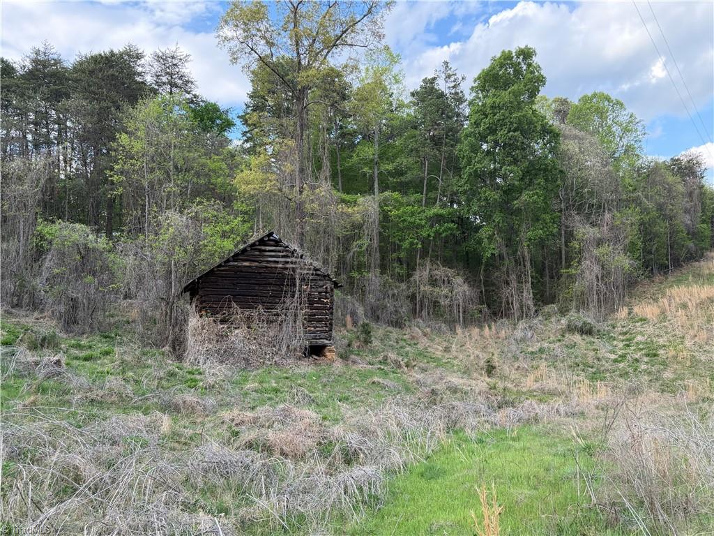 0 South Friendship Road Germanton, NC 27019 - Photo 1 of 7