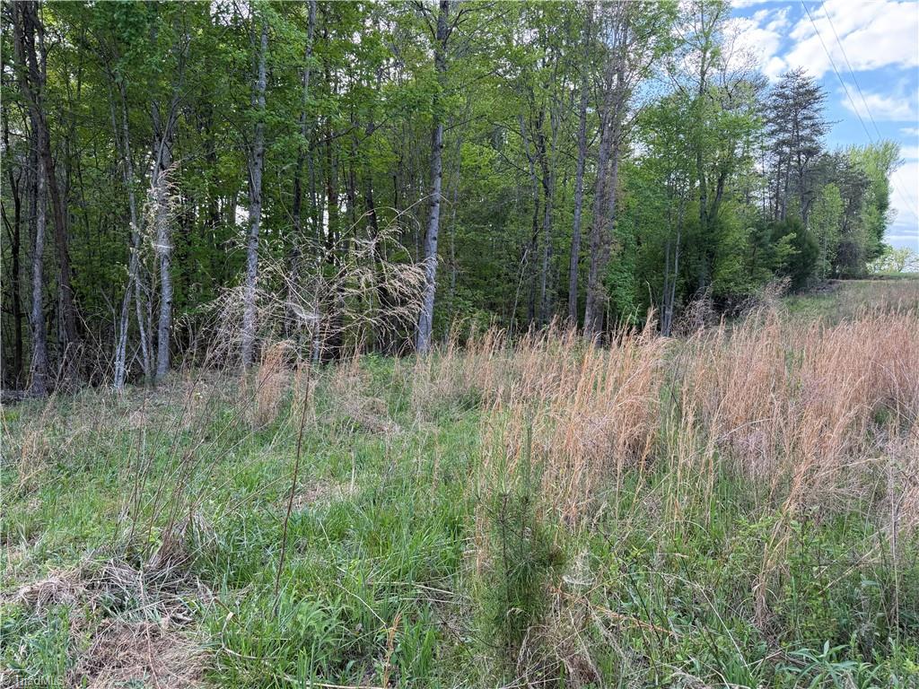 0 South Friendship Road Germanton, NC 27019 - Photo 2 of 7