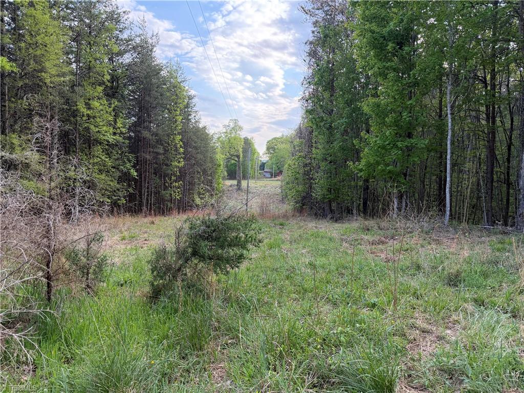 0 South Friendship Road Germanton, NC 27019 - Photo 3 of 7