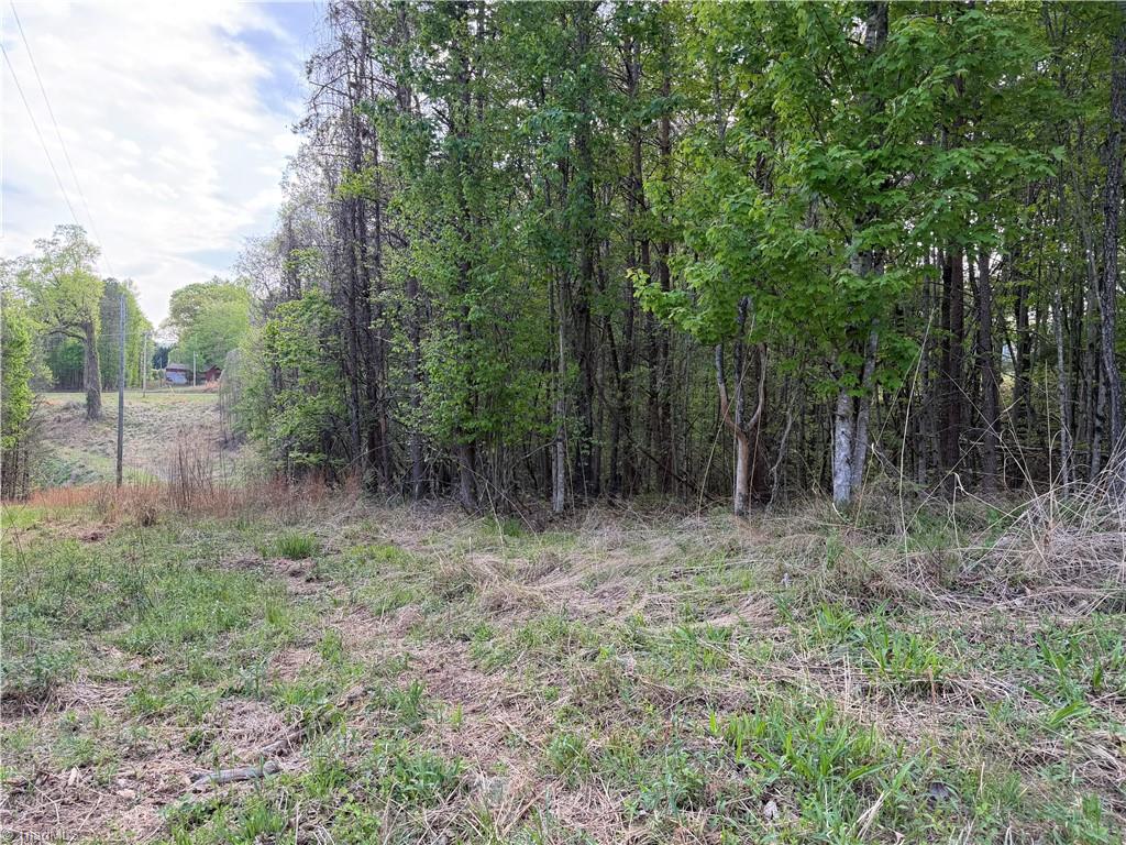 0 South Friendship Road Germanton, NC 27019 - Photo 4 of 7