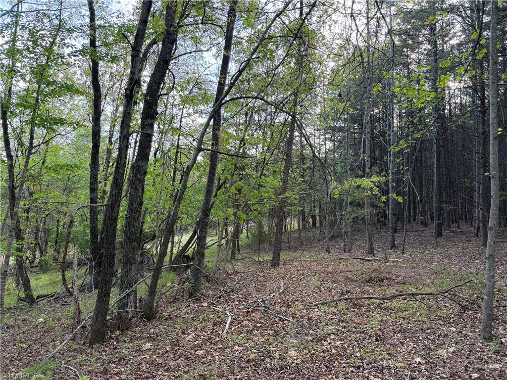 0 South Friendship Road Germanton, NC 27019 - Photo 5 of 7