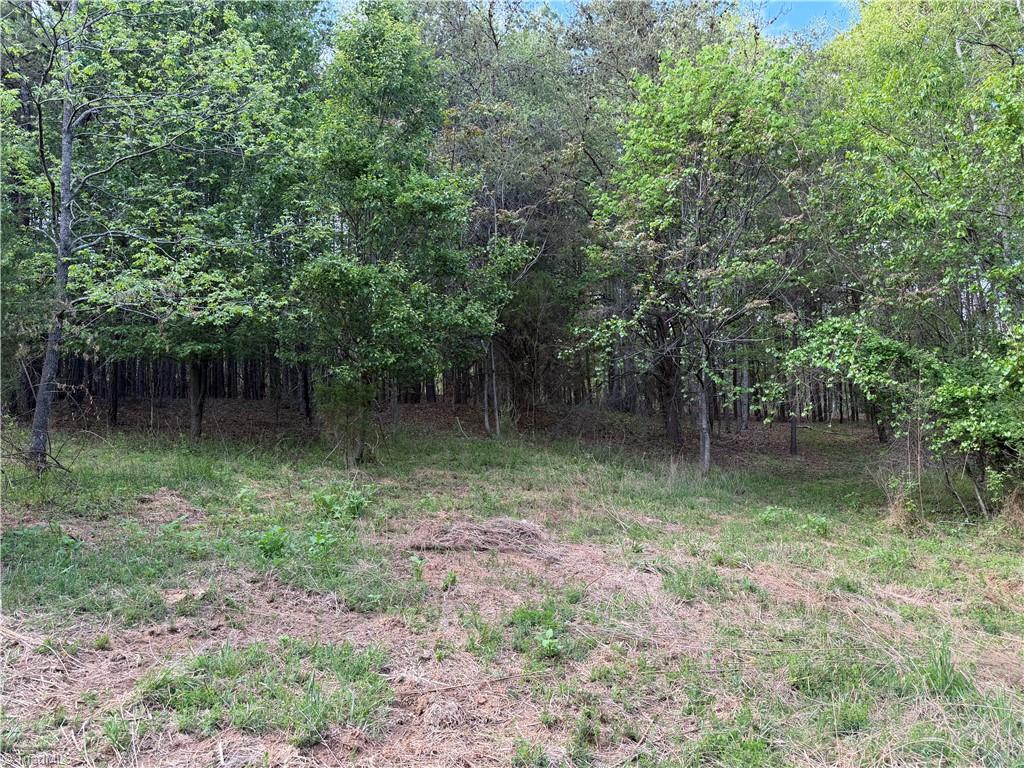 0 South Friendship Road Germanton, NC 27019 - Photo 6 of 7