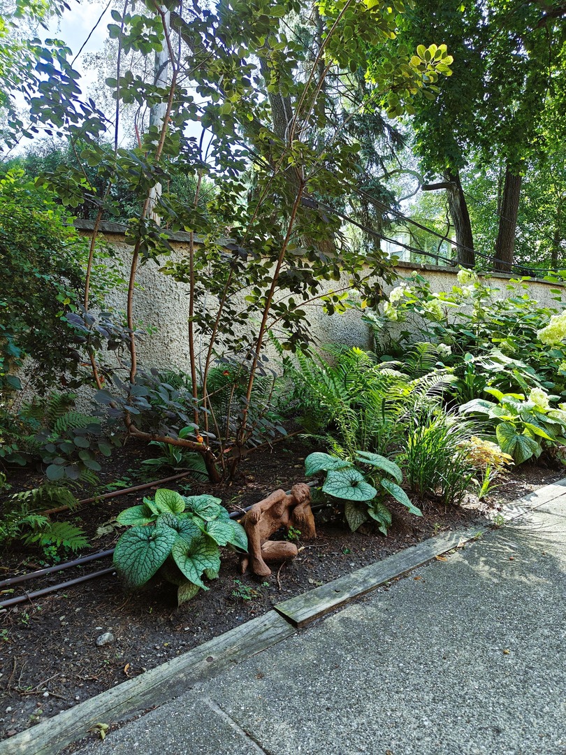 734 Noyes Street, Unit O2 Evanston, IL 60201 - Photo 6 of 6