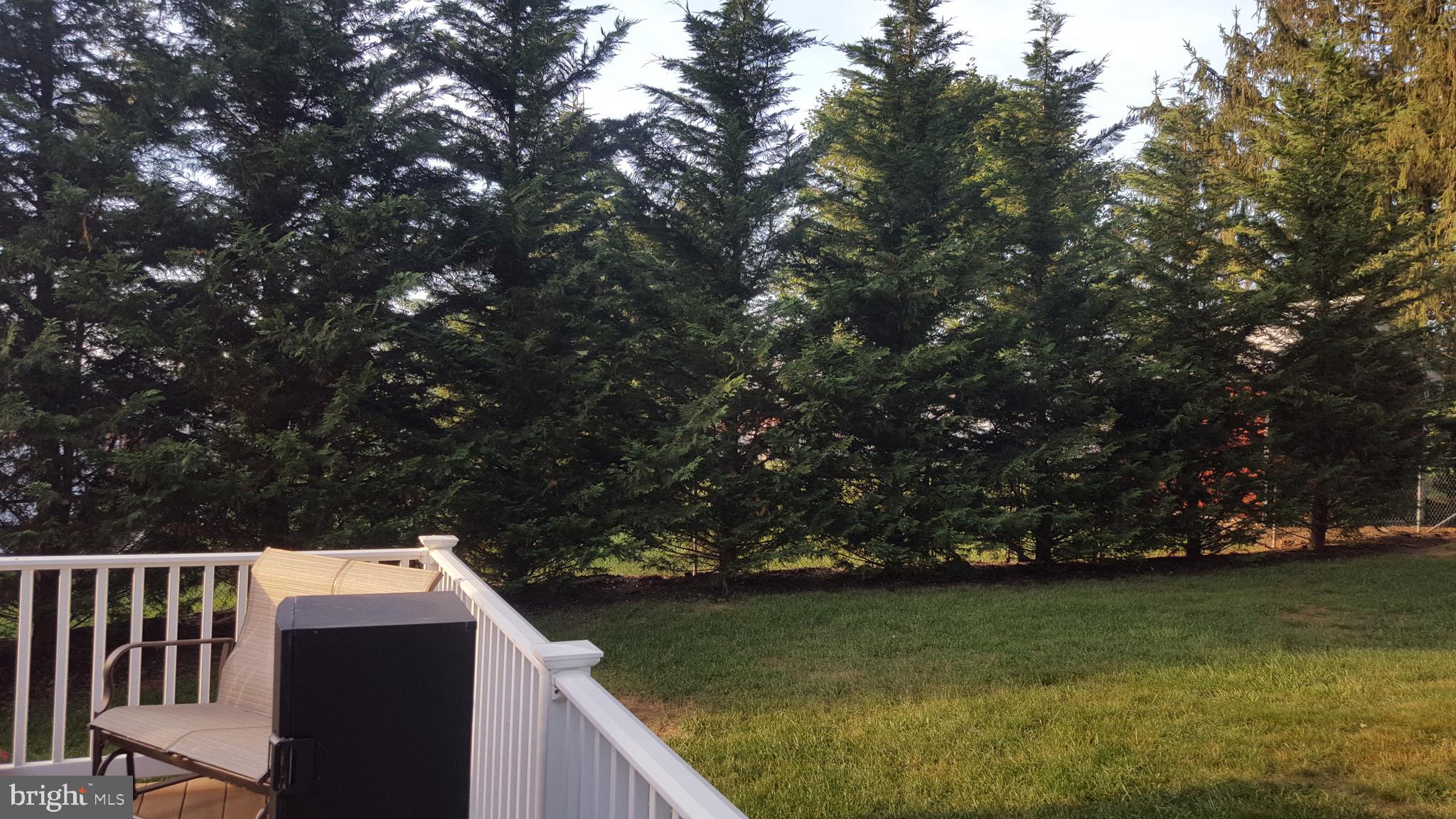 1060 Bair Road Hanover, PA 17331 - Photo 15 of 64