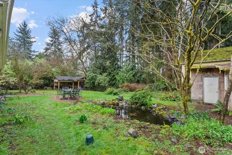 a view of a backyard with table and chairs and potted plants and large trees