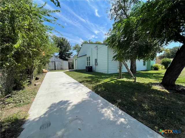 a view of a yard with plants and a large tree