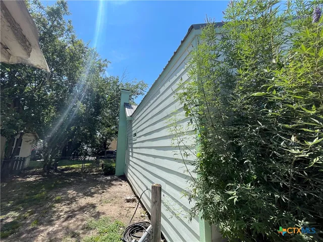 a view of a backyard with plants and large trees