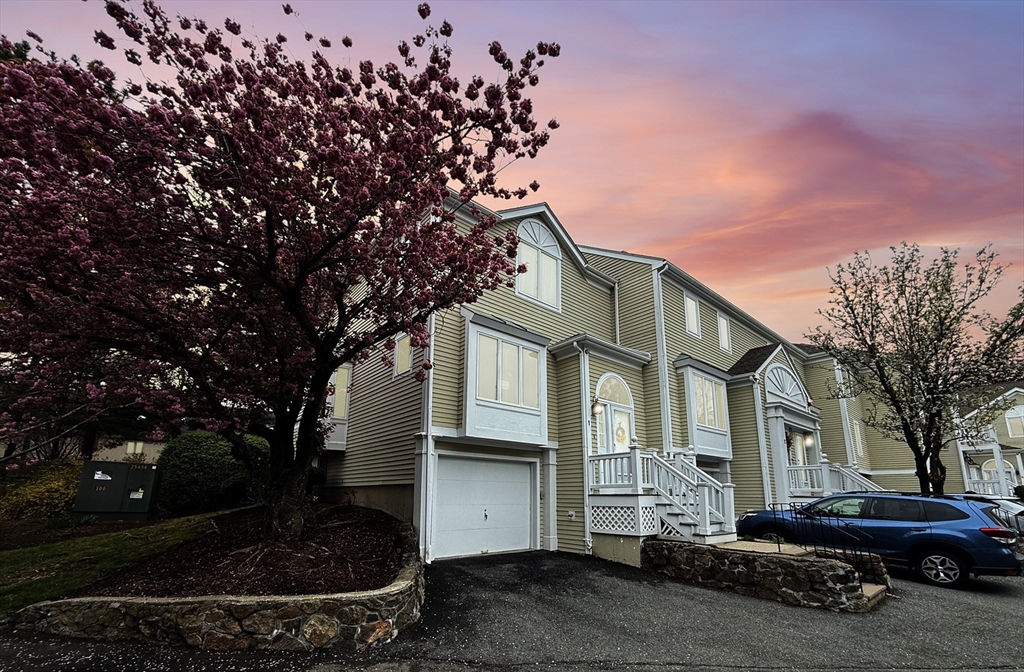 a house view with a garden space