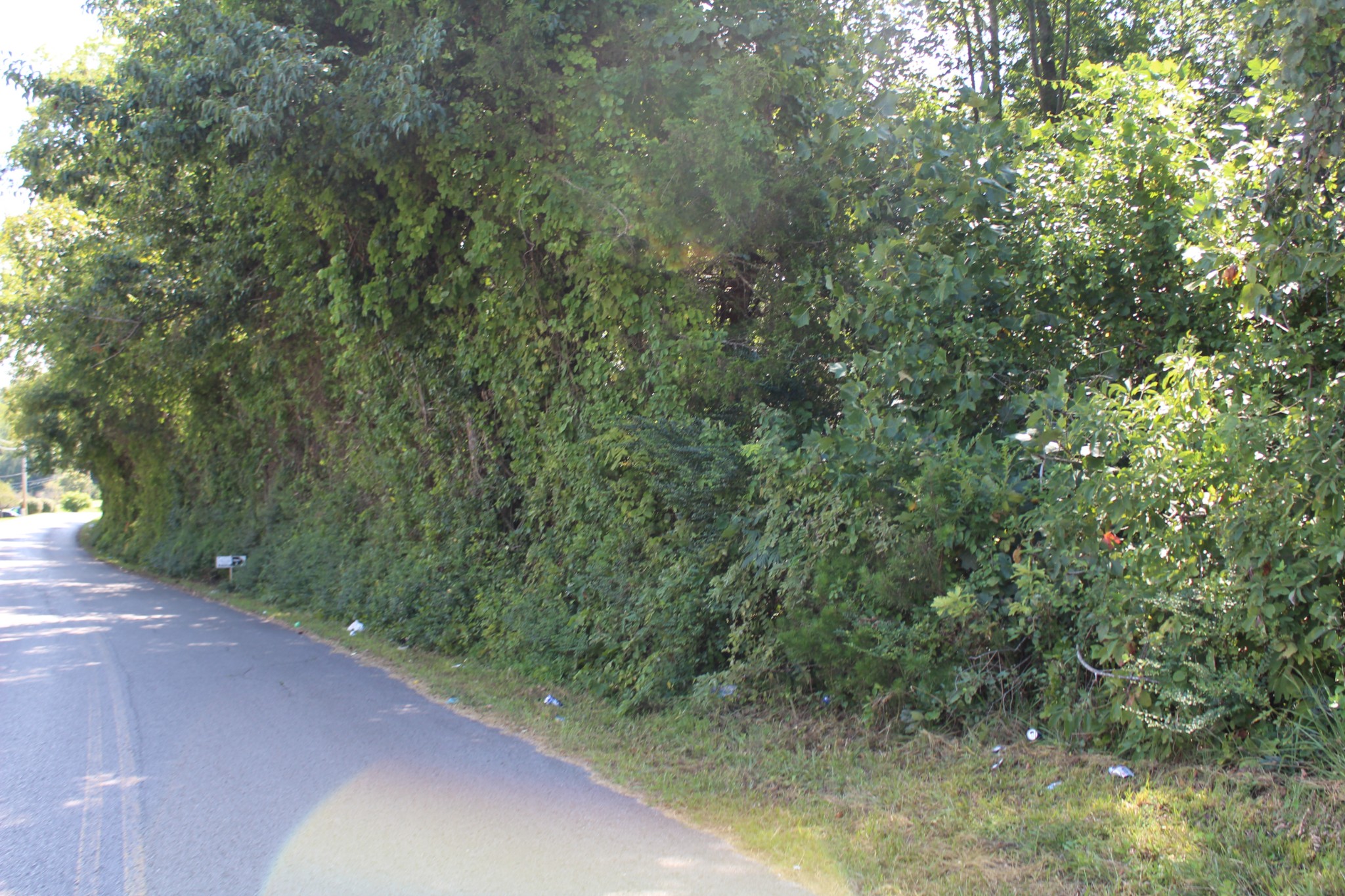 0 Higginbotham Road McMinnville, TN 37110 - Photo 2 of 2