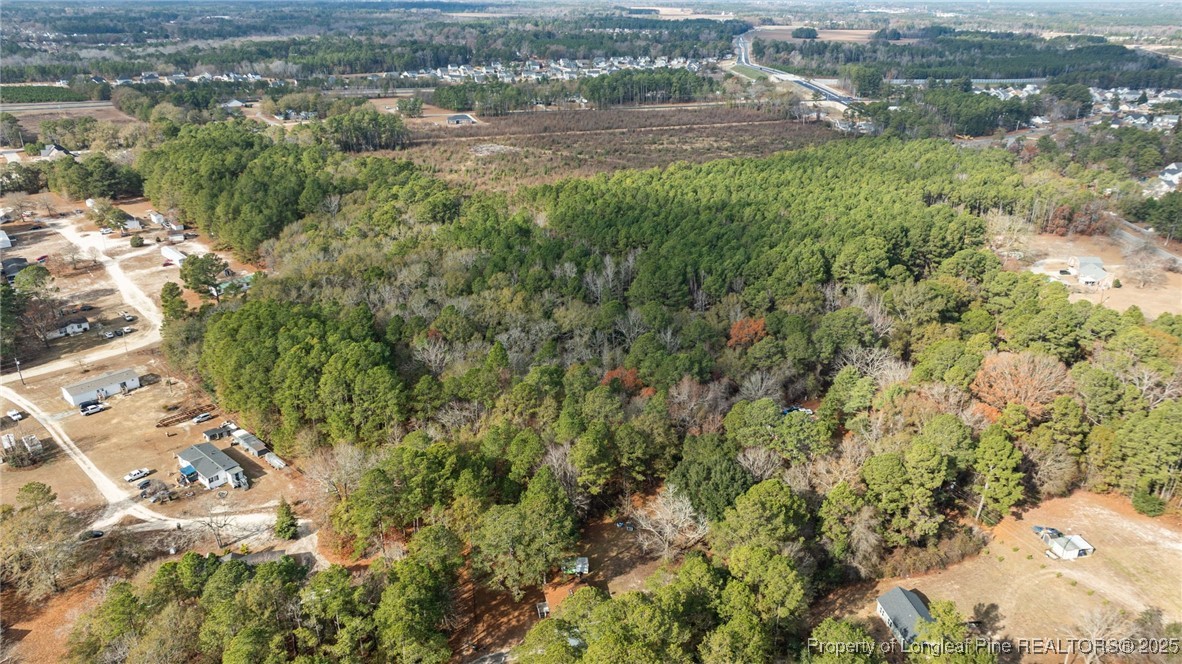 7536 Glen Raven Road Fayetteville, NC 28306 - Photo 12 of 15 a view of a yard with plants and large trees