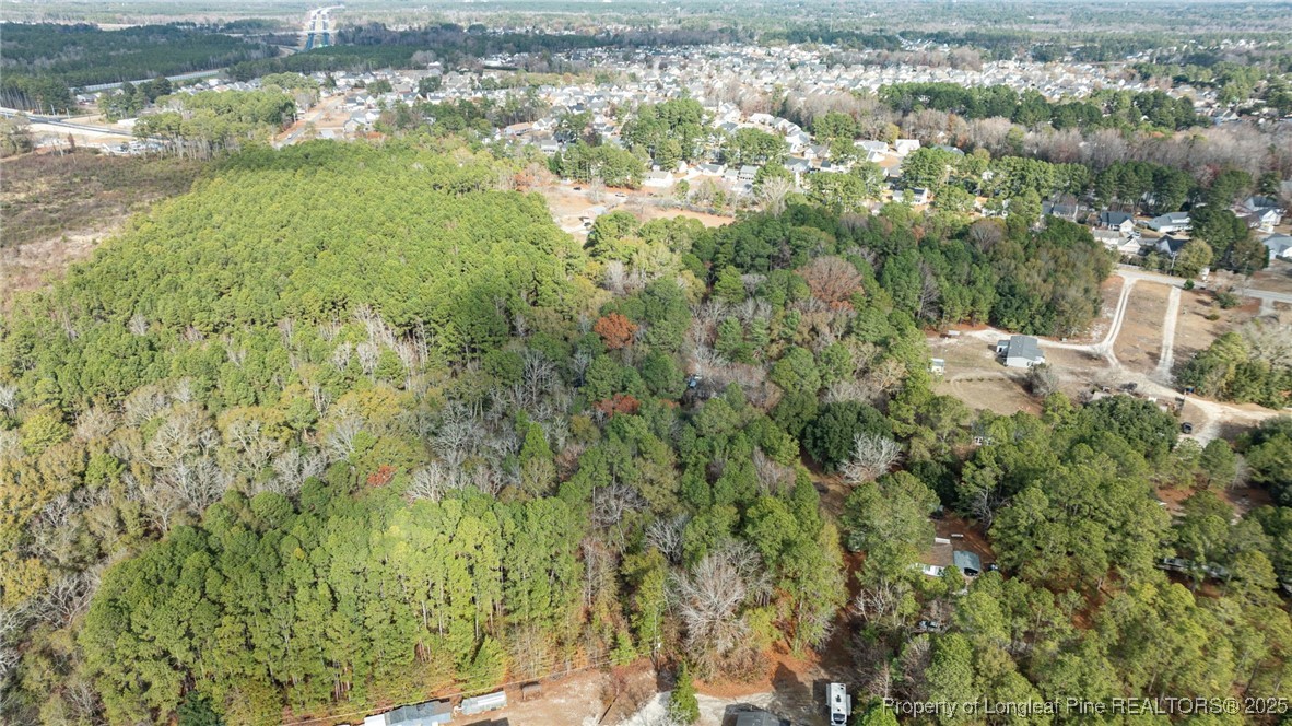 7536 Glen Raven Road Fayetteville, NC 28306 - Photo 5 of 15 a view of a yard with plants and large trees