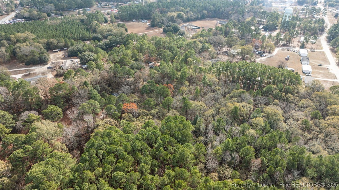 7536 Glen Raven Road Fayetteville, NC 28306 - Photo 7 of 15 a view of a forest with a tree