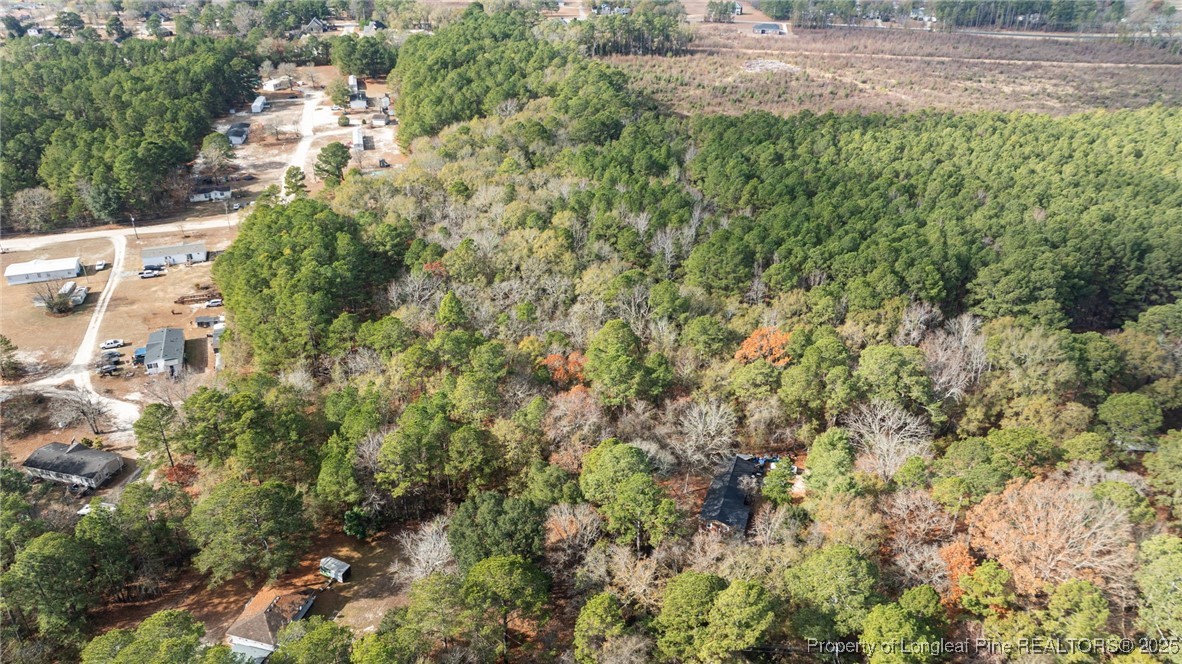 7536 Glen Raven Road Fayetteville, NC 28306 - Photo 10 of 15 a view of a yard with plants