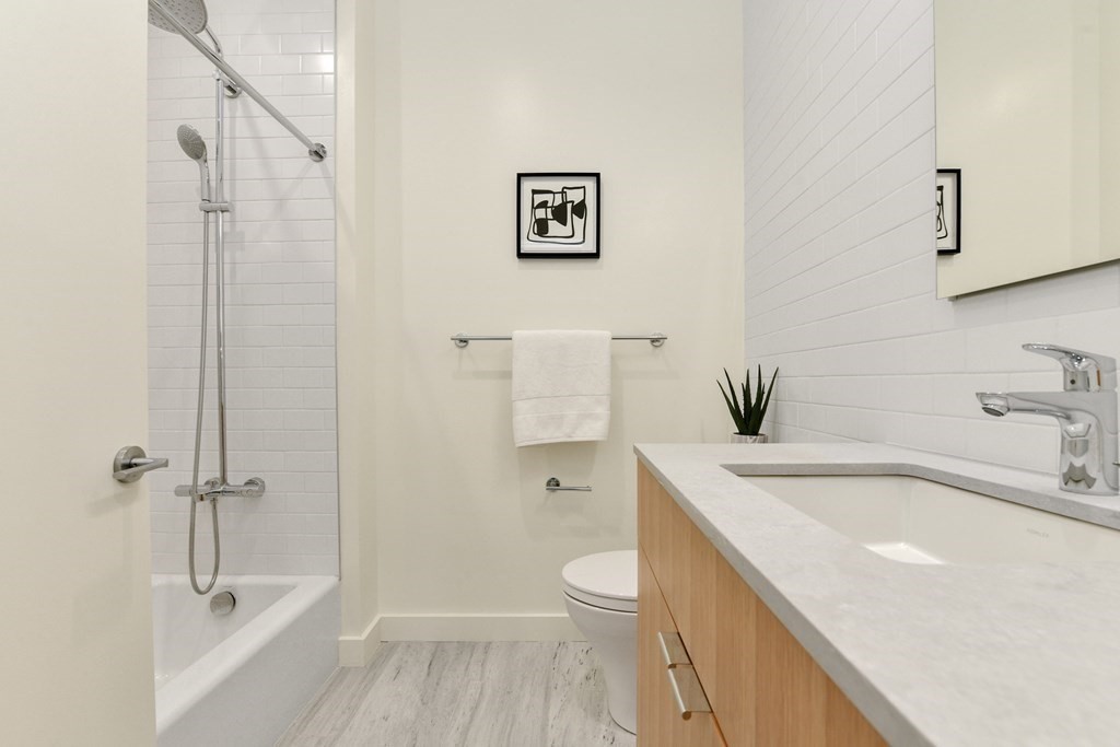 80 Terrace Street, Unit 302 Boston, MA 02120 - Photo 12 of 18 a bathroom with a sink a toilet and shower