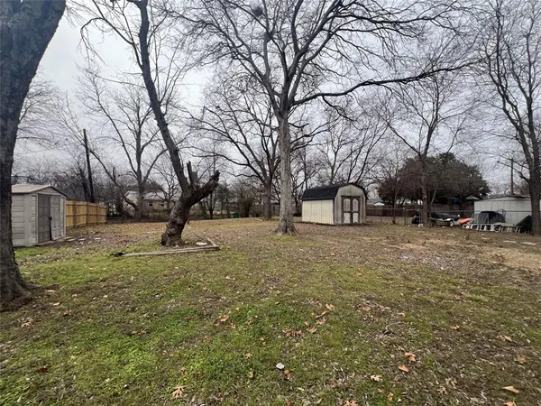 a view of outdoor space yard and tree
