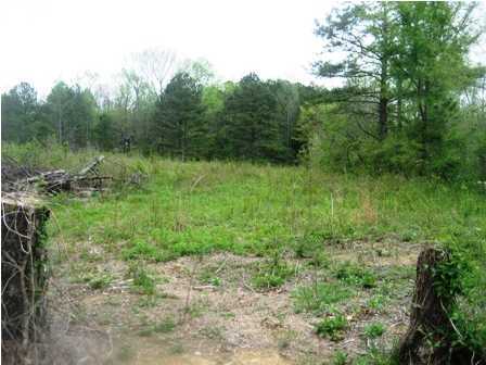 1 Keys Road Tunnel Hill, GA 30755 - Photo 1 of 7 Primary Photo