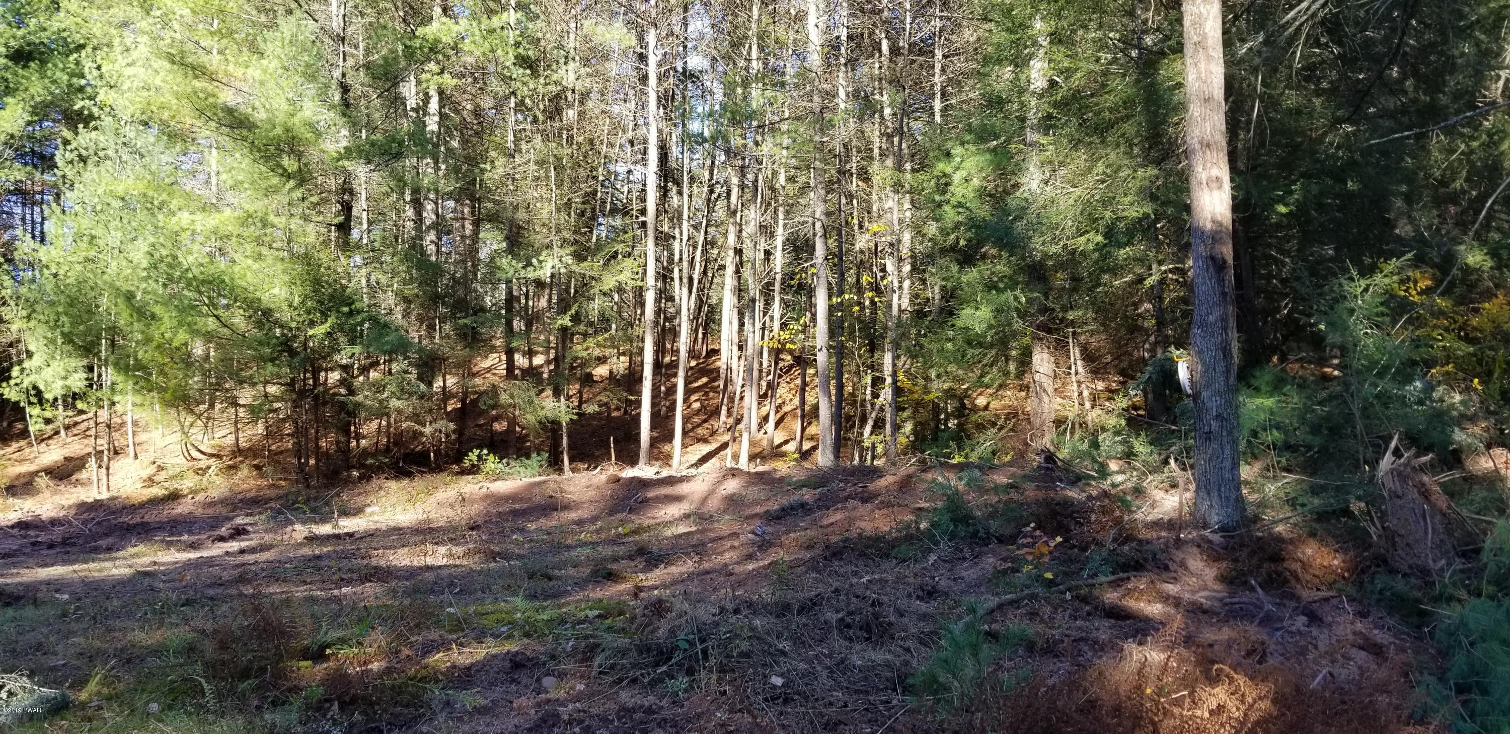 Lot #22 Swamp Pond Road Narrowsburg, NY 12764 - Photo 7 of 36