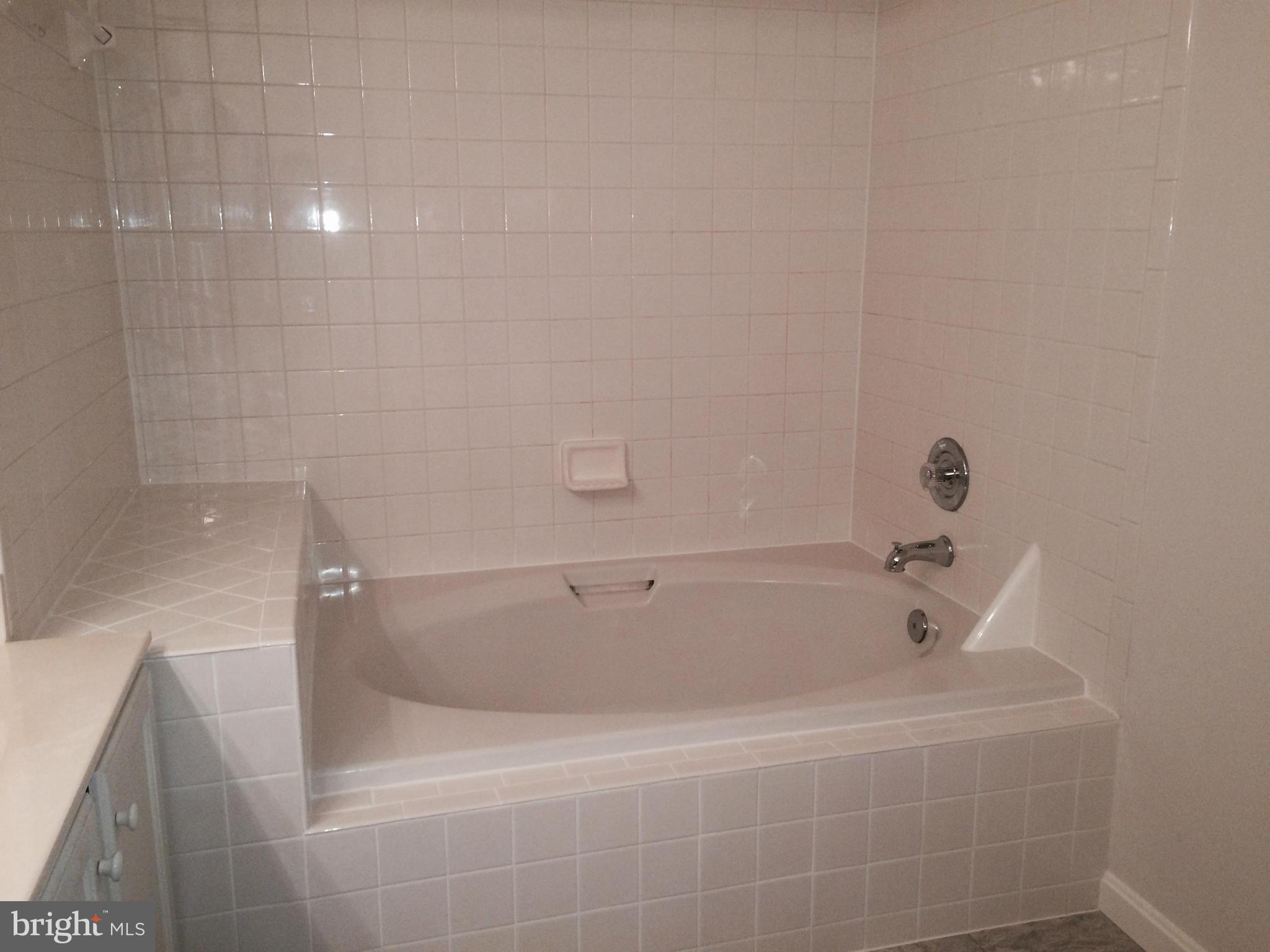 302 Ridgepoint Place, Unit 38 Gaithersburg, MD 20878 - Photo 18 of 26 Bath (Master)
