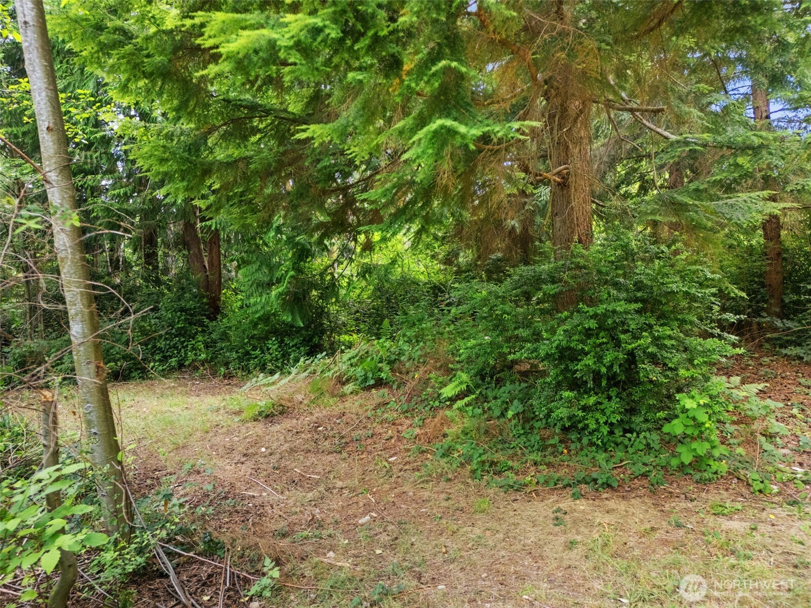 0 Rouse Road Southwest Longbranch, WA 98351 - Photo 15 of 20 Gallery Image 15