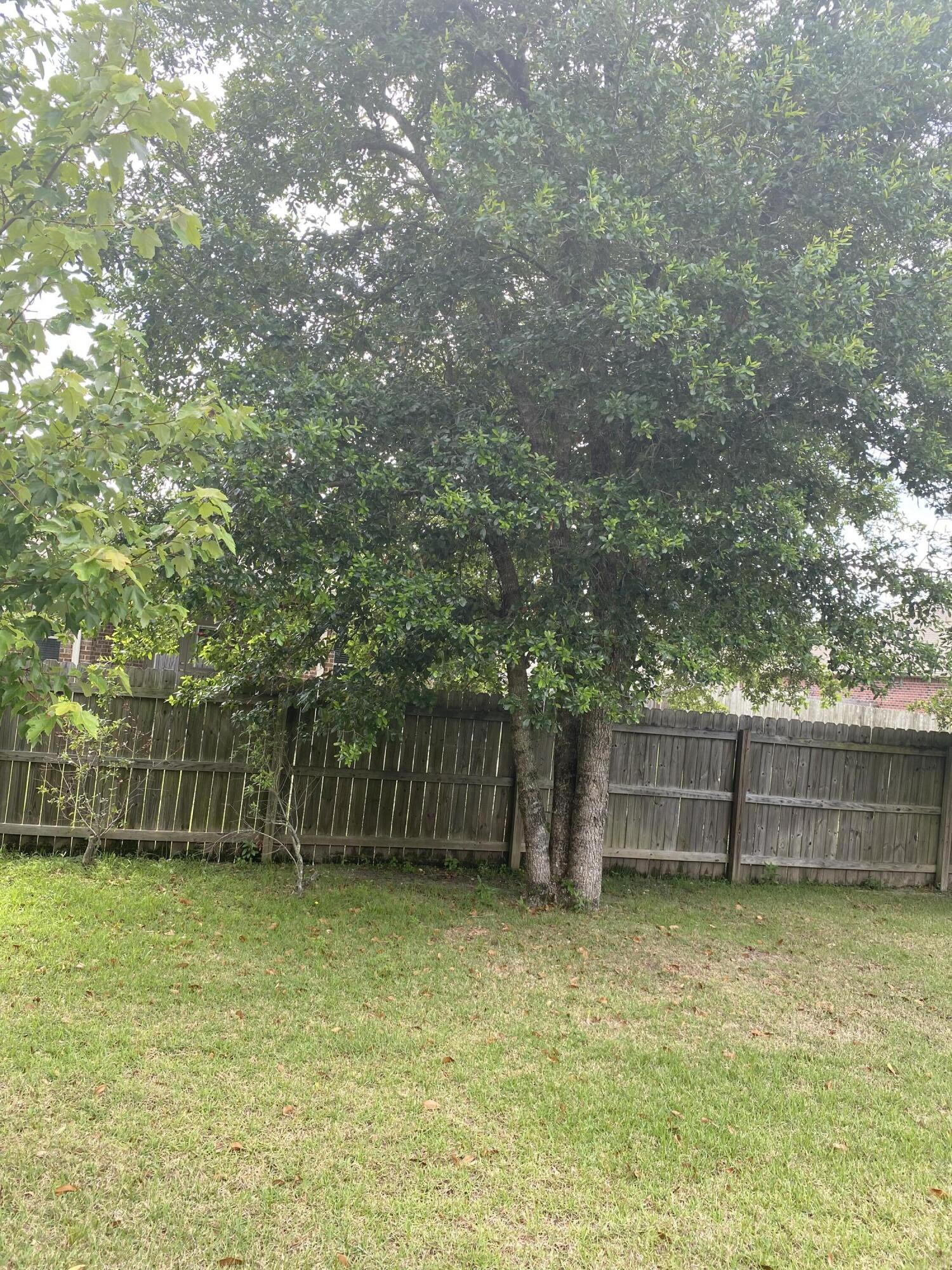 5870 Pescara Drive Pace, FL 32571 - Photo 30 of 31 a view of a backyard