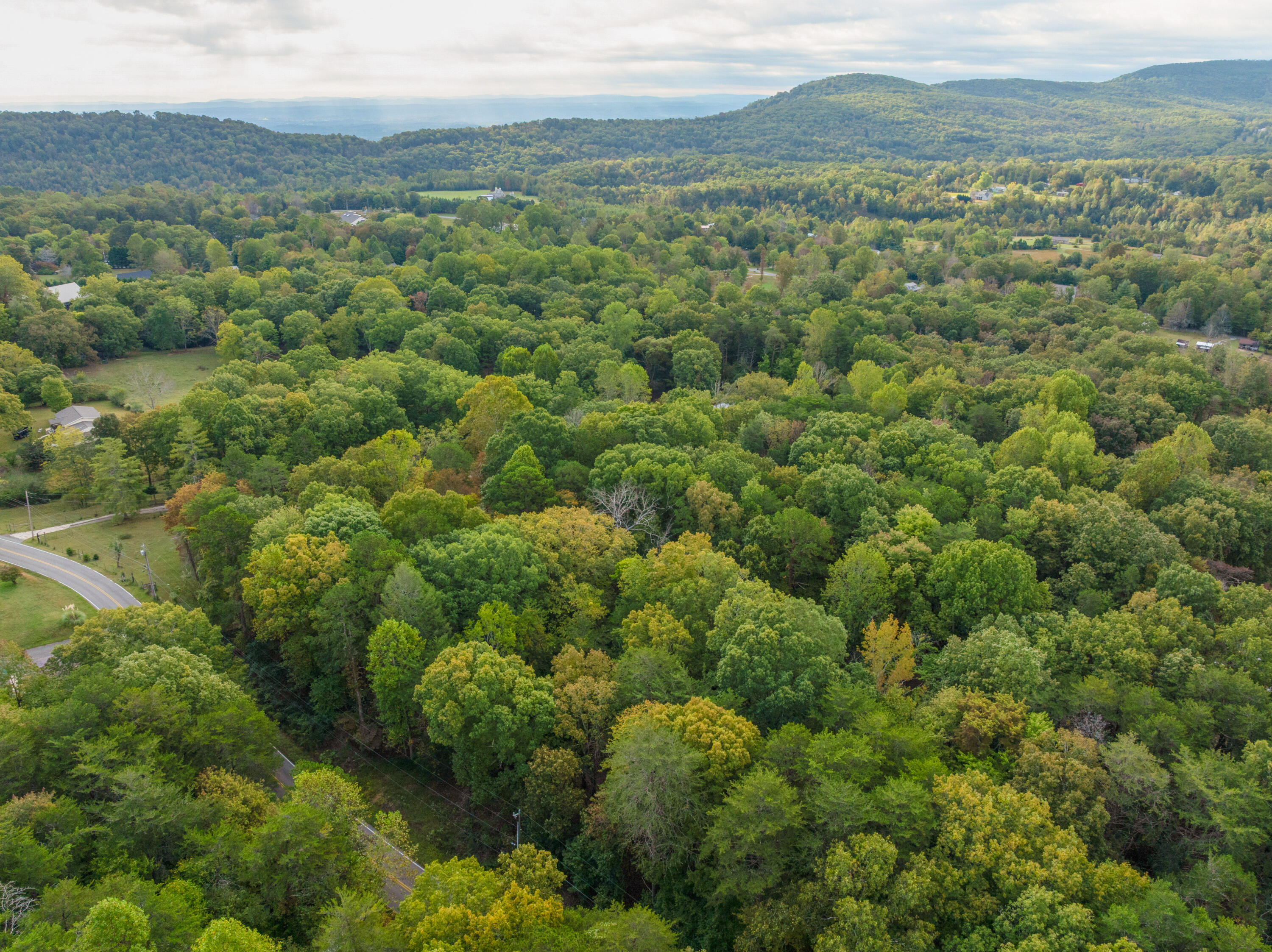 0 Payne Chapel Road Lookout Mountain, GA 30750 - Photo 17 of 24 04 - Payne Chapel Rd - Drone