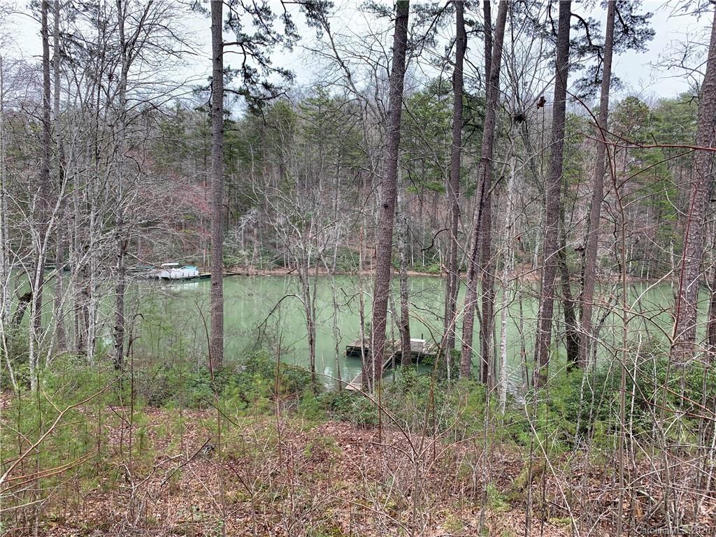 14 Parkway North Rd Mill Spring Mill Spring, NC 28756 - Photo 2 of 12