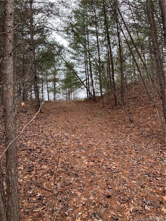 14 Parkway North Rd Mill Spring Mill Spring, NC 28756 - Photo 3 of 12