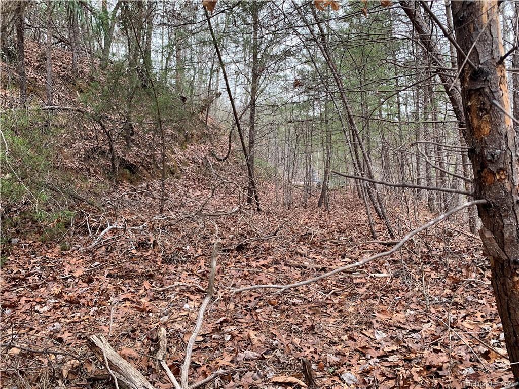 14 Parkway North Rd Mill Spring Mill Spring, NC 28756 - Photo 4 of 12