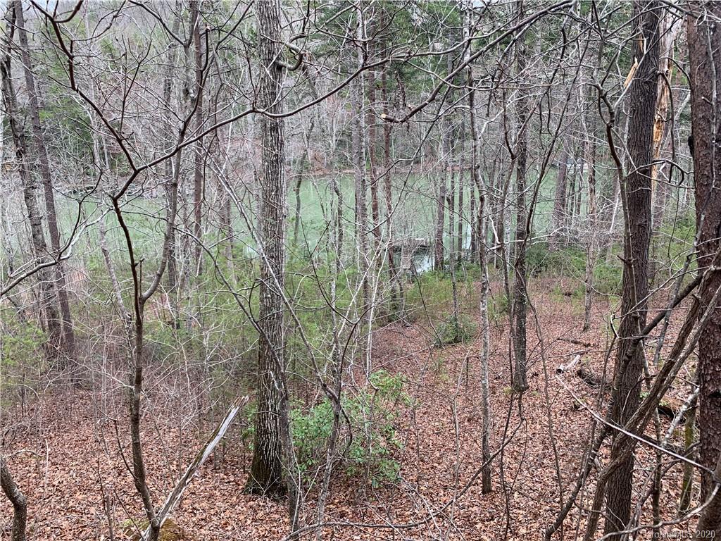 14 Parkway North Rd Mill Spring Mill Spring, NC 28756 - Photo 5 of 12