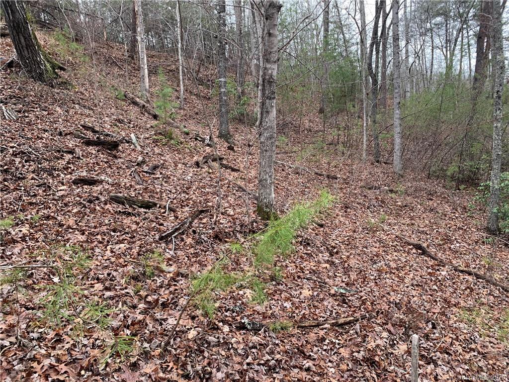 14 Parkway North Rd Mill Spring Mill Spring, NC 28756 - Photo 7 of 12