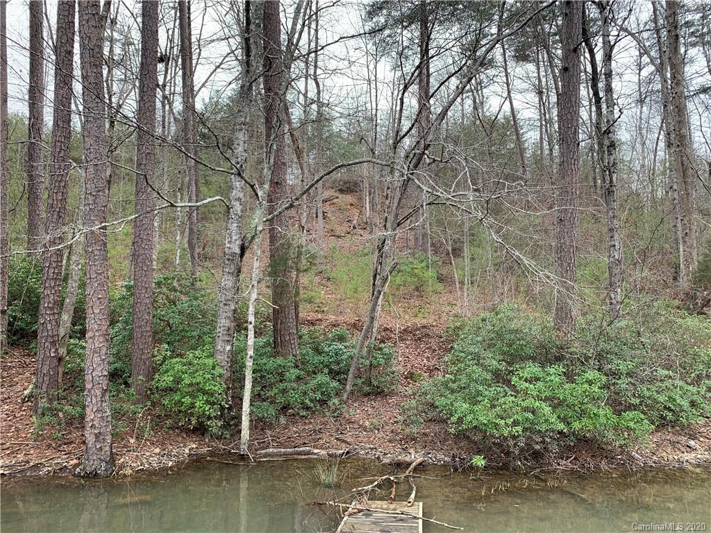 14 Parkway North Rd Mill Spring Mill Spring, NC 28756 - Photo 8 of 12