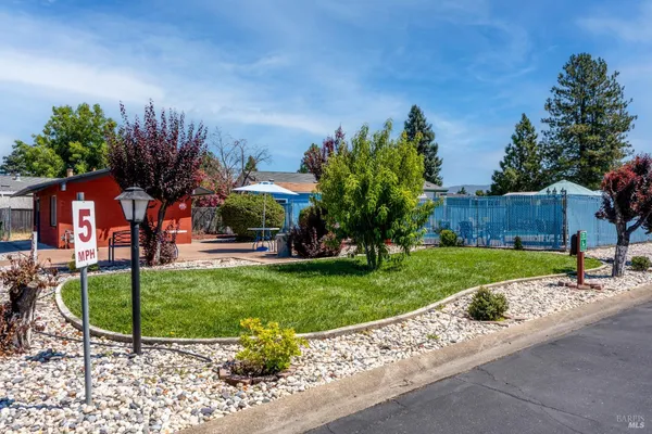 a view of a backyard with a garden and plants