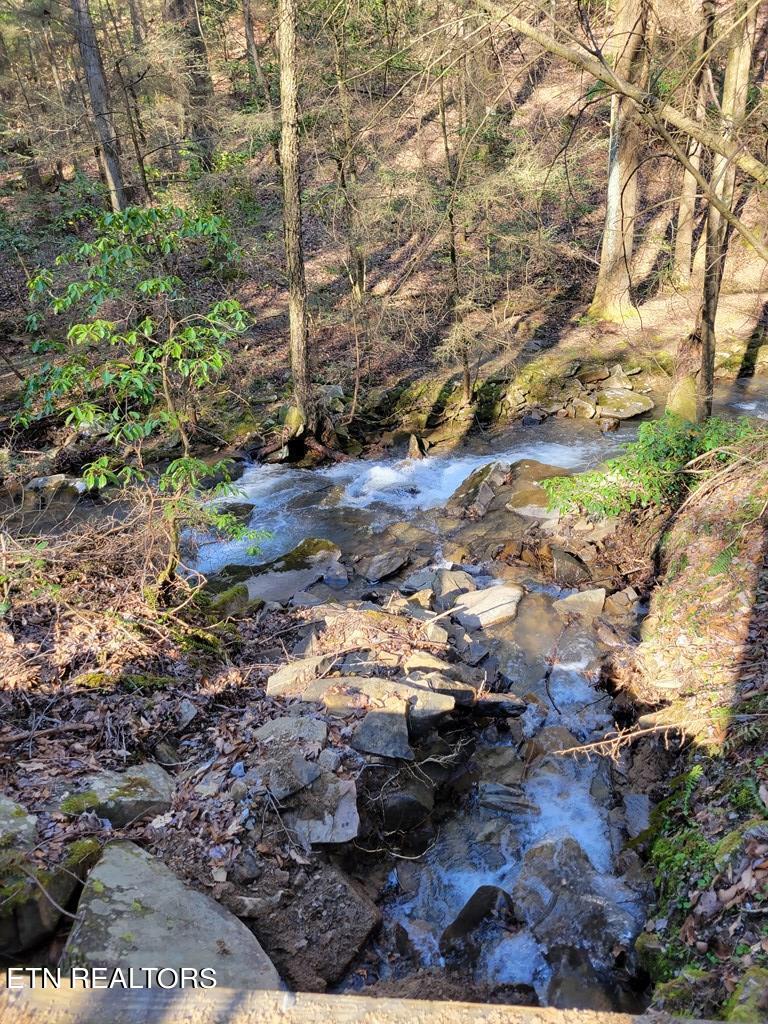 Tall Tree Trail Dunlap, TN 37327 - Photo 13 of 18 203533_4