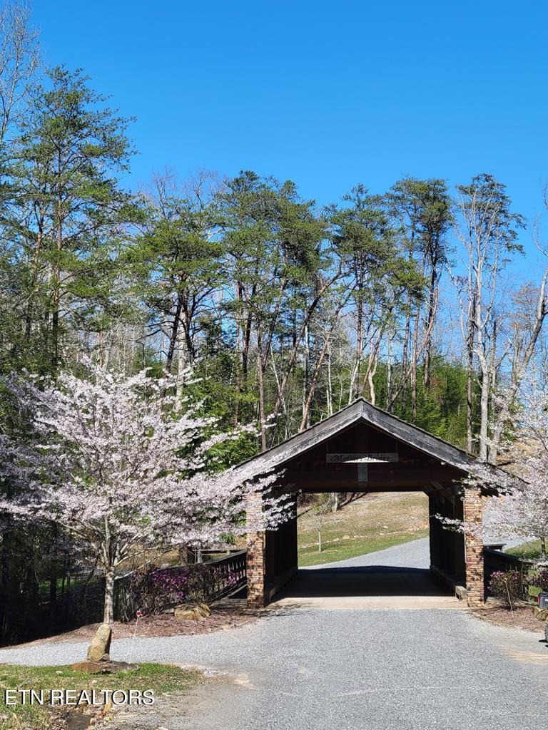 Tall Tree Trail Dunlap, TN 37327 - Photo 15 of 18 203533_23