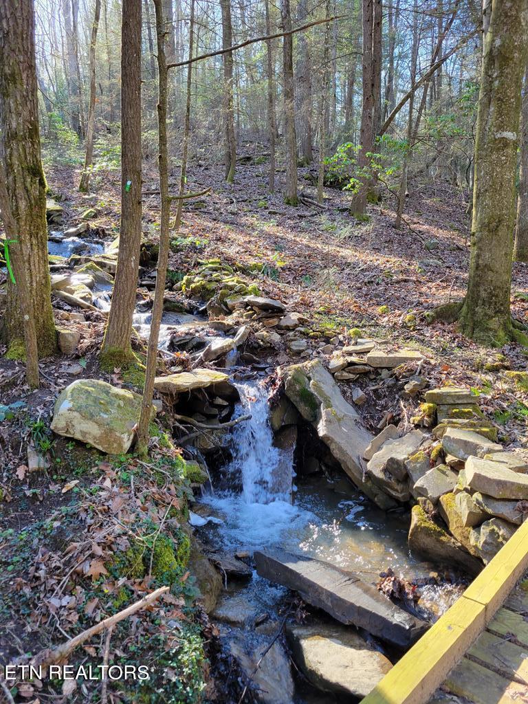 Tall Tree Trail Dunlap, TN 37327 - Photo 2 of 18 203533_19