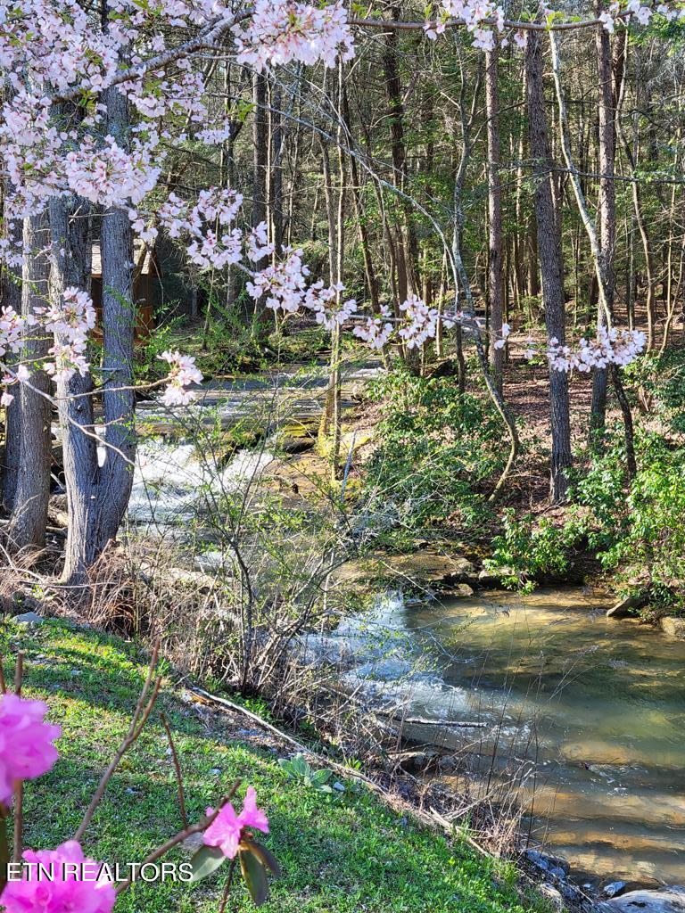 Tall Tree Trail Dunlap, TN 37327 - Photo 3 of 18 203533_22