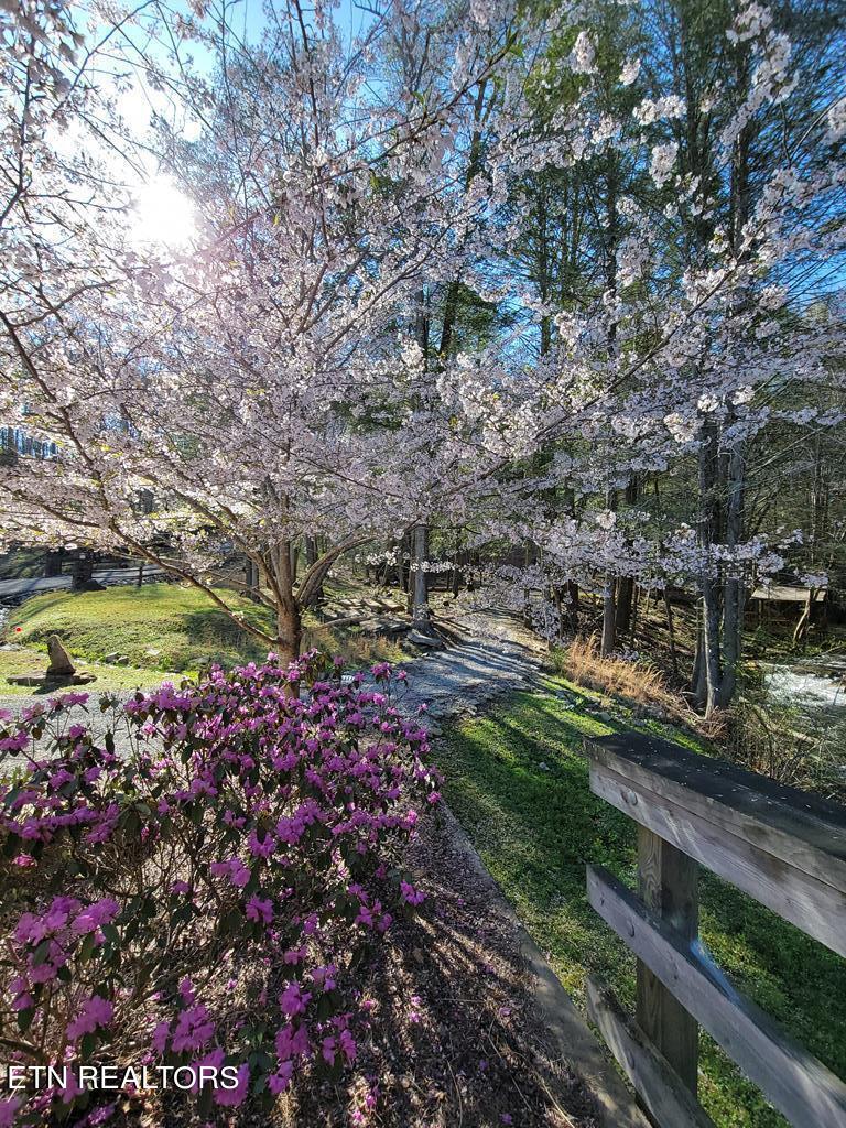 Tall Tree Trail Dunlap, TN 37327 - Photo 5 of 18 203533_20