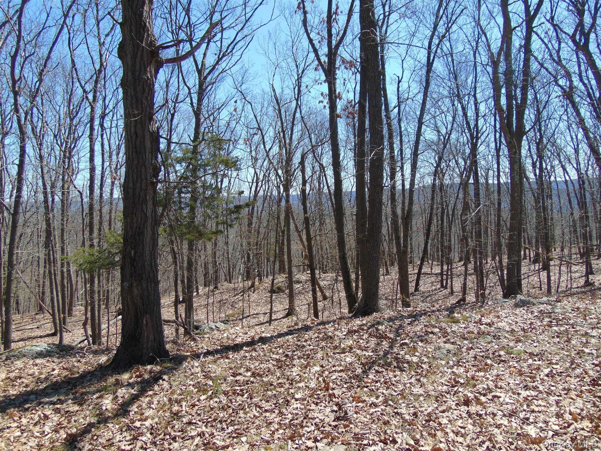 382 Cedar Hill Road Fishkill, NY 12524 - Photo 3 of 20