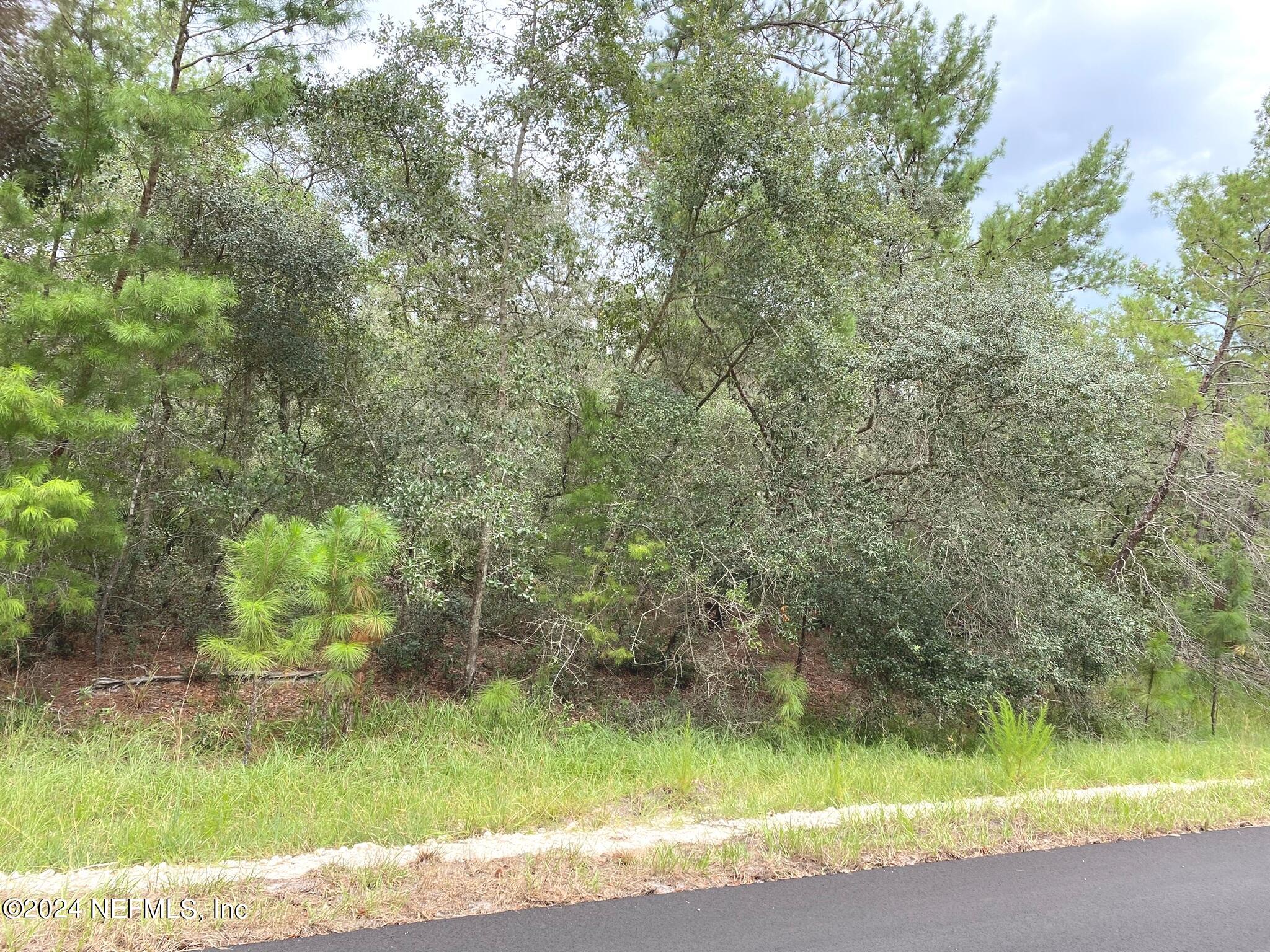 118 Spanish Trail Georgetown, FL 32139 - Photo 2 of 6 a backyard of a house with a yard and large trees
